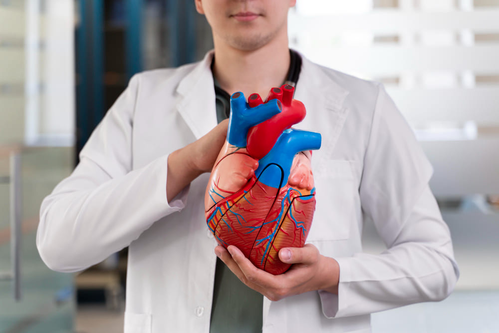 cardiología